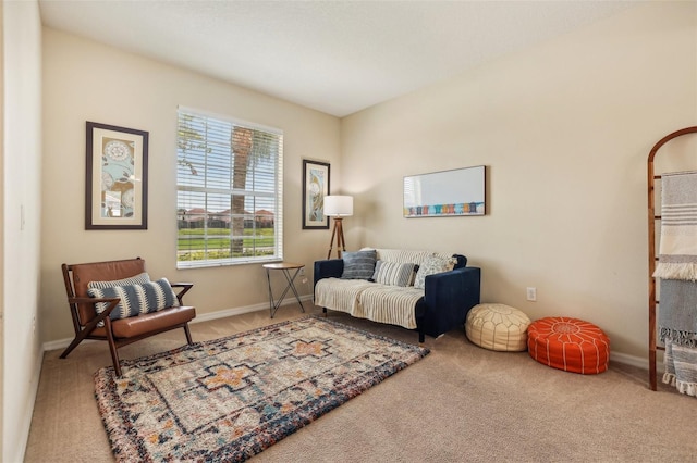 sitting room featuring carpet flooring