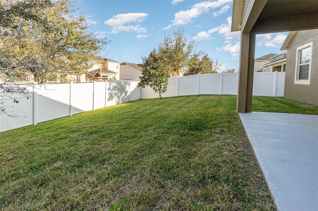 view of yard featuring a patio