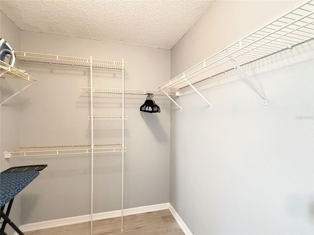 spacious closet featuring hardwood / wood-style floors