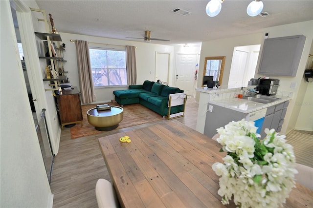 974 Leeward Pl Unit 205, Altamonte Springs, FL 32714 - living area with light wood-type flooring and ceiling fan