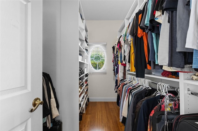 walk in closet with wood finished floors