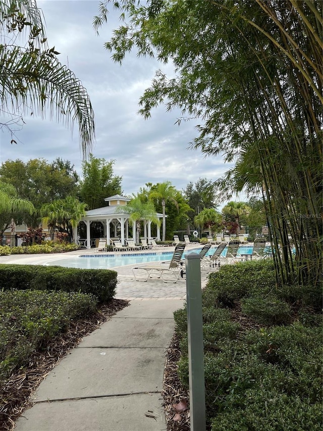 view of swimming pool featuring a patio