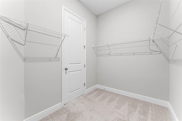 walk in closet with light colored carpet