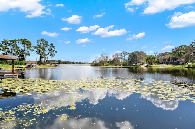 property view of water