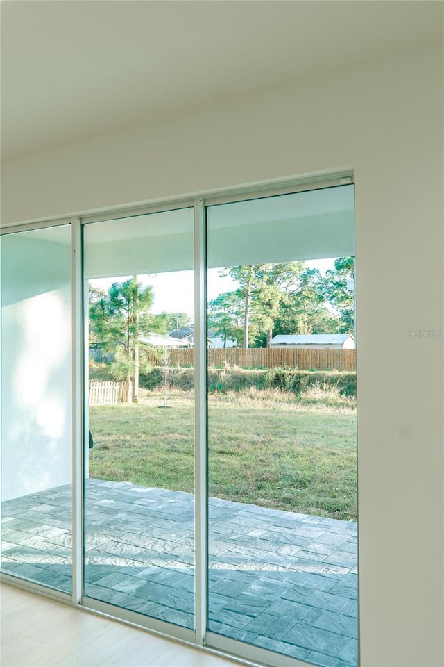 doorway featuring wood finished floors and a wealth of natural light