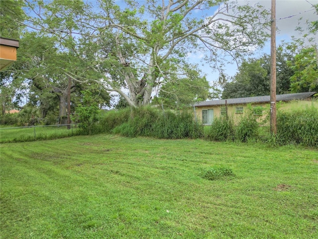 view of yard