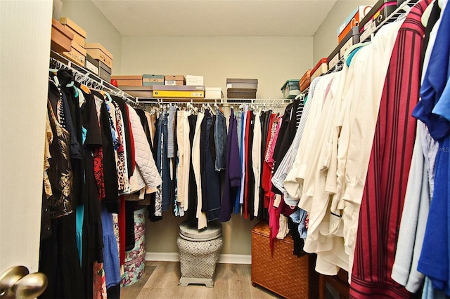 spacious closet featuring hardwood / wood-style flooring