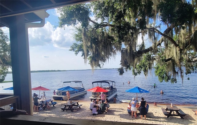 11801 Lake Susan Ct, Clermont, FL 34711 - water view with a boat dock