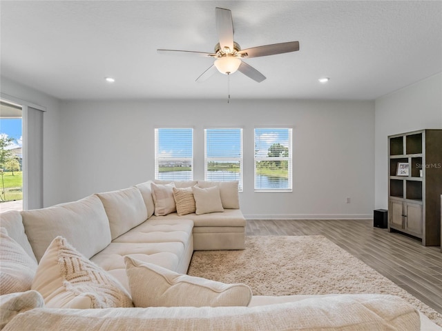 living room with ceiling fan and light hardwood / wood-style flooring