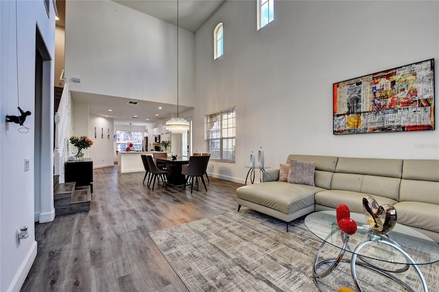 living room featuring wood-type flooring