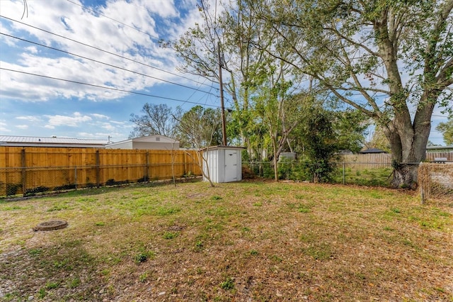 view of yard featuring a shed