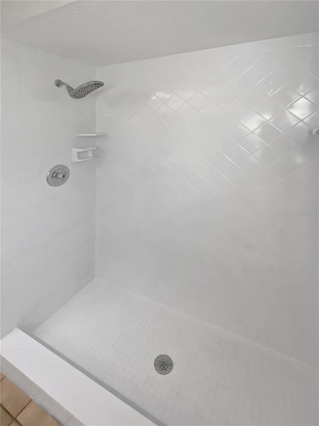 bathroom featuring tile patterned flooring and tiled shower