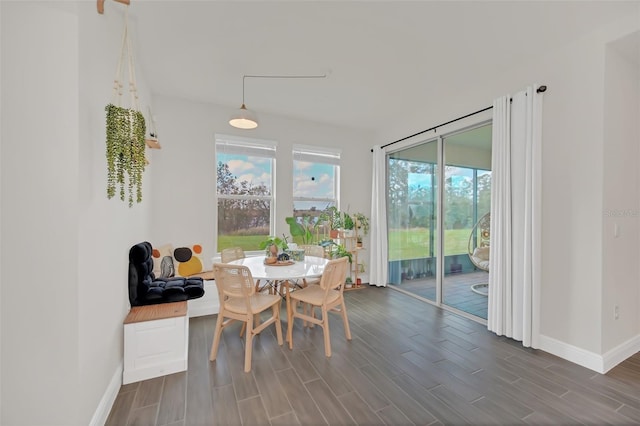 dining room featuring a healthy amount of sunlight