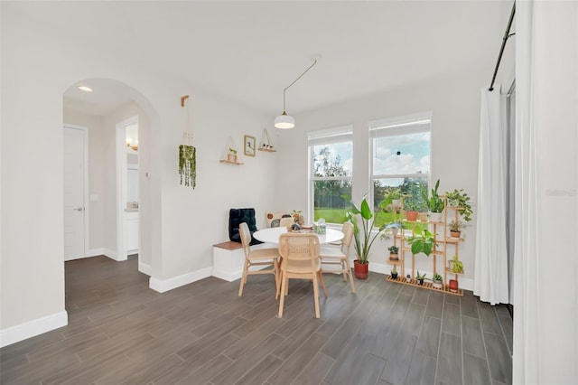 dining room with dark hardwood / wood-style flooring