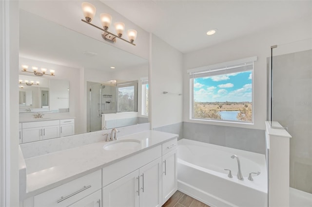 bathroom featuring vanity and independent shower and bath