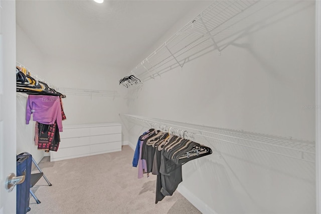 walk in closet with light colored carpet