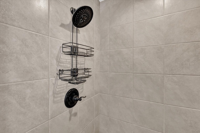 room details with tiled shower