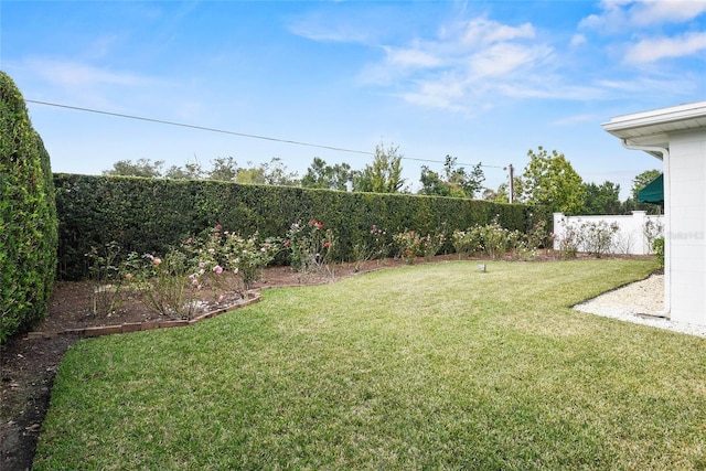 625 Brechin Dr, Winter Park, FL 32792 - view of yard