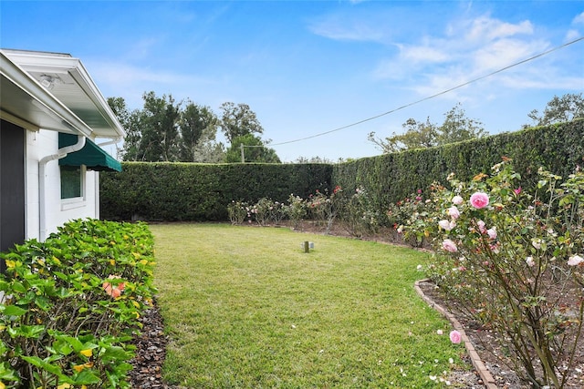 625 Brechin Dr, Winter Park, FL 32792 - view of grassy yard