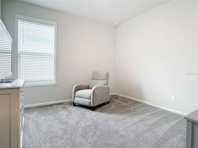 living area with carpet flooring and a wealth of natural light