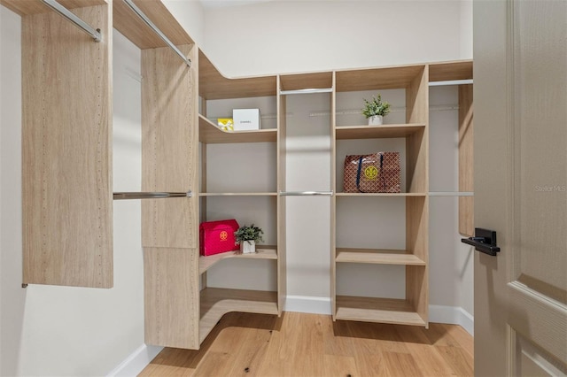 walk in closet featuring light hardwood / wood-style flooring