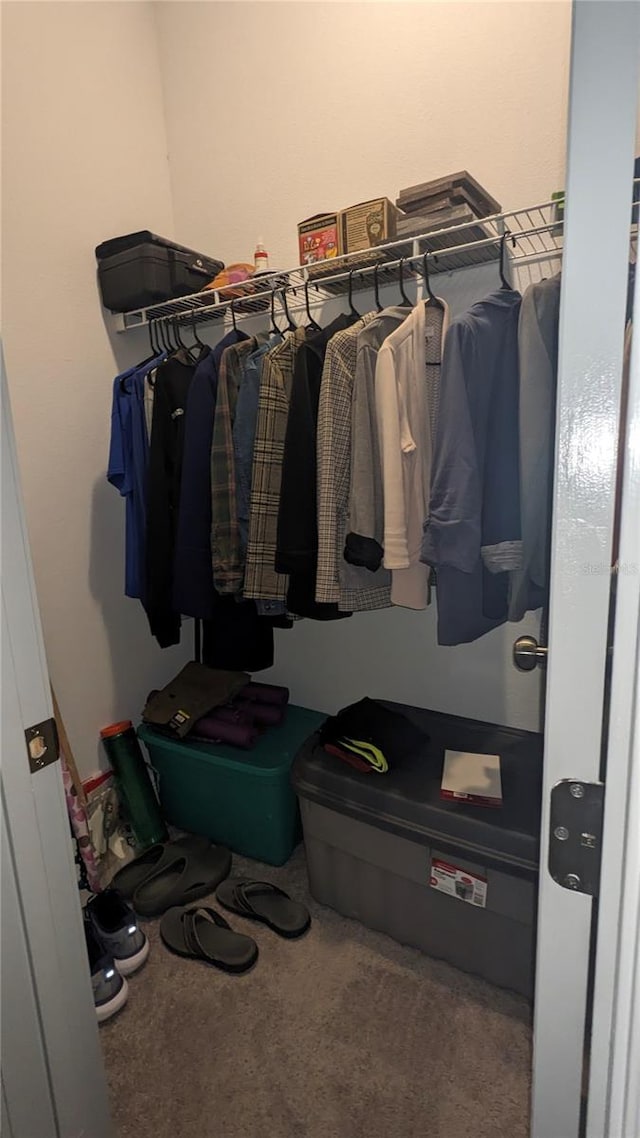 spacious closet with carpet floors