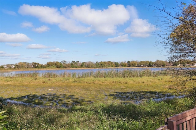 property view of water