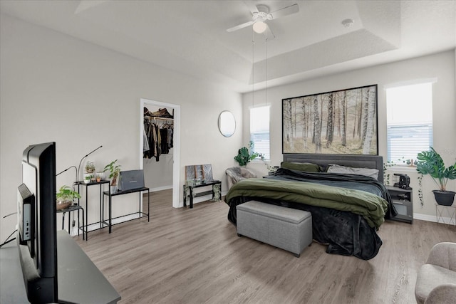 bedroom with a tray ceiling, light wood finished floors, a spacious closet, ceiling fan, and baseboards