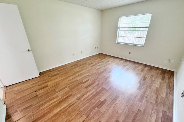 2856 Somerset Park Dr Unit 102, Tampa, FL 33613 - photo 8