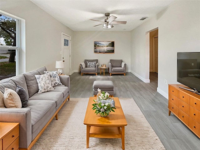 living room with ceiling fan and light wood-type flooring