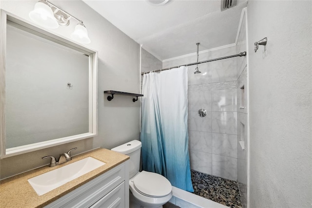 bathroom with vanity, toilet, and a shower with shower curtain