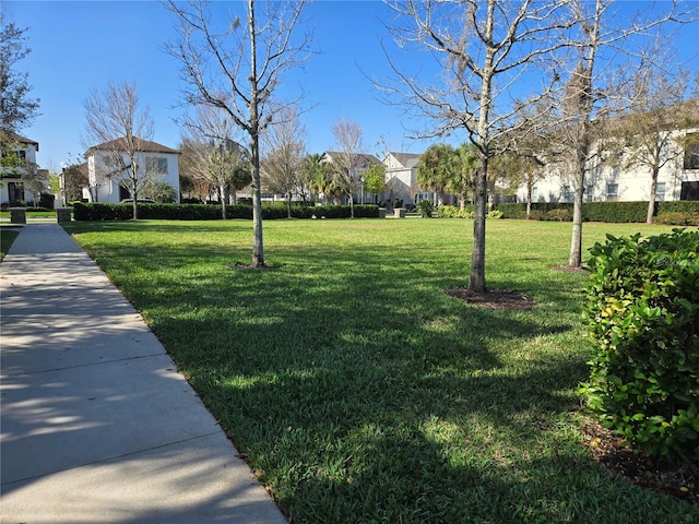14214 Shocklach Dr, Winter Garden, FL 34787 - view of property's community featuring a residential view and a lawn