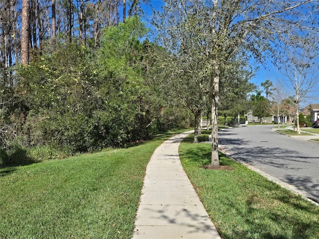 14214 Shocklach Dr, Winter Garden, FL 34787 - view of street with sidewalks and curbs