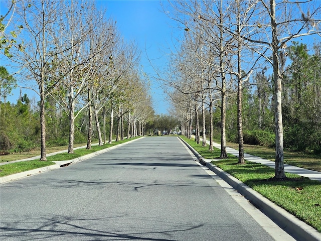 14214 Shocklach Dr, Winter Garden, FL 34787 - view of road featuring sidewalks and curbs