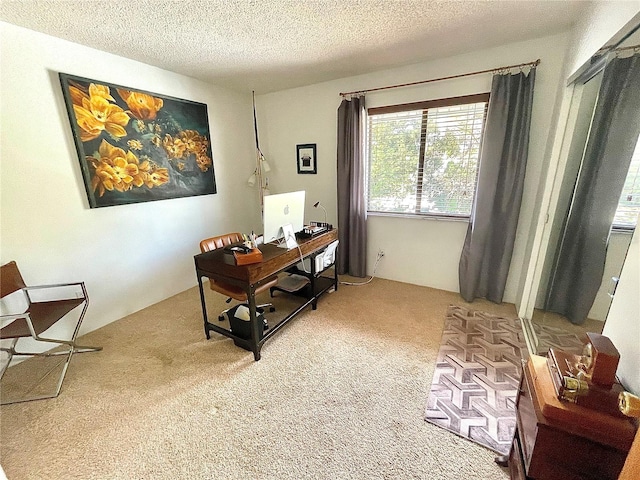 carpeted home office with a textured ceiling