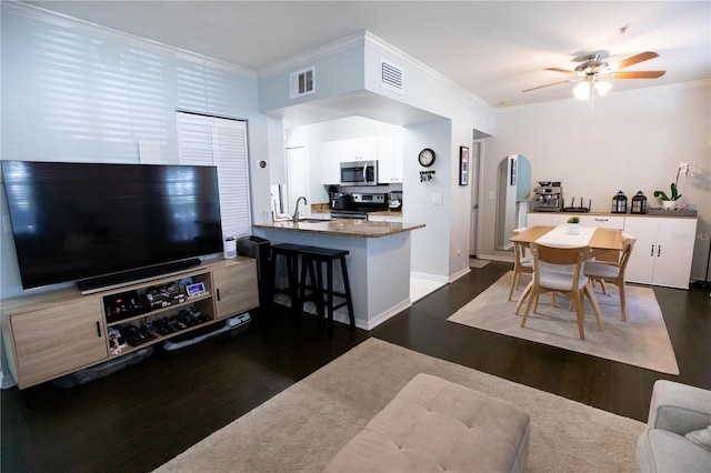 living room with crown molding, ceiling fan, dark hardwood / wood-style floors, and sink