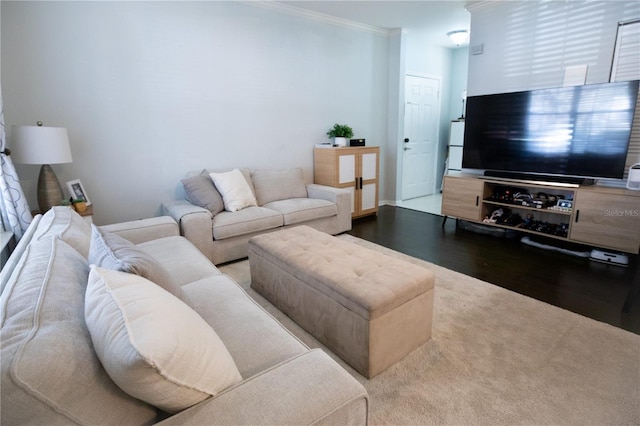 living room with ornamental molding