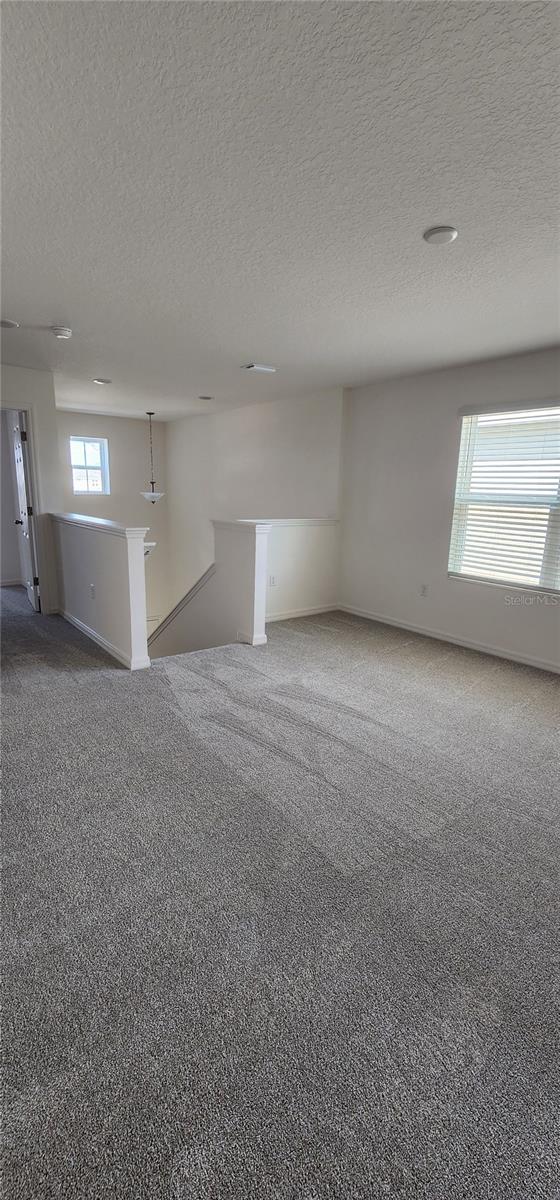 unfurnished room with a textured ceiling and carpet