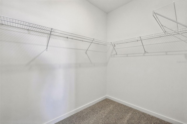 walk in closet with carpet