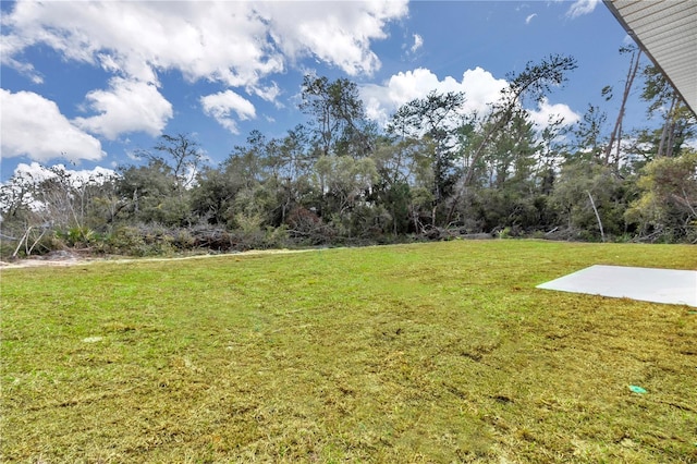 2844 SW 162nd Street Rd, Ocala, FL 34473 - view of yard