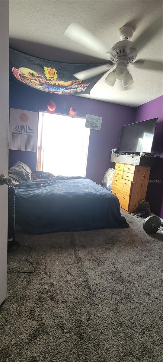bedroom featuring ceiling fan, carpet floors, and a textured ceiling