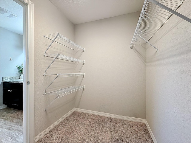 walk in closet featuring visible vents and carpet