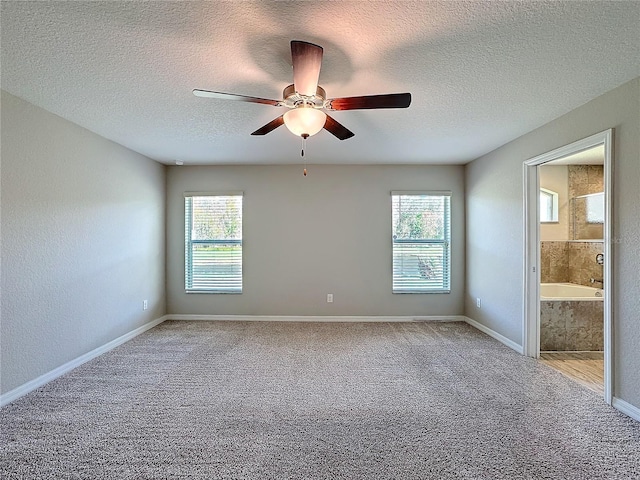 spare room with a wealth of natural light, a textured ceiling, a ceiling fan, and carpet floors