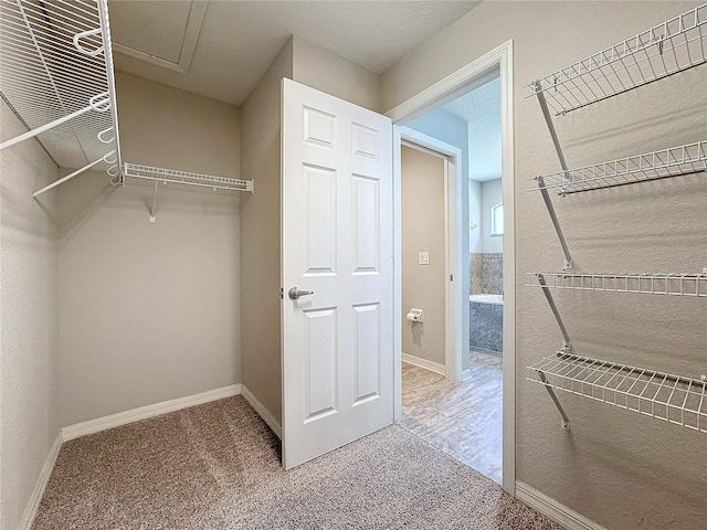 spacious closet with carpet flooring