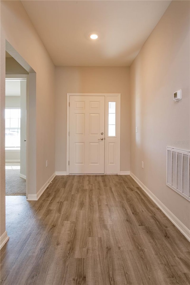 foyer entrance featuring a wealth of natural light and wood-type flooring