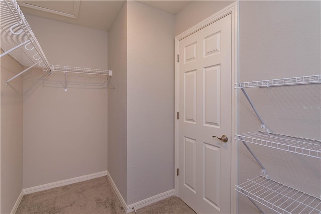 spacious closet with light carpet