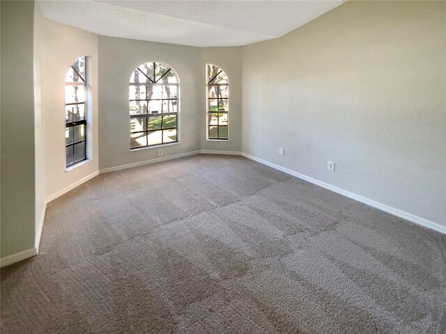 unfurnished room with carpet and a textured ceiling