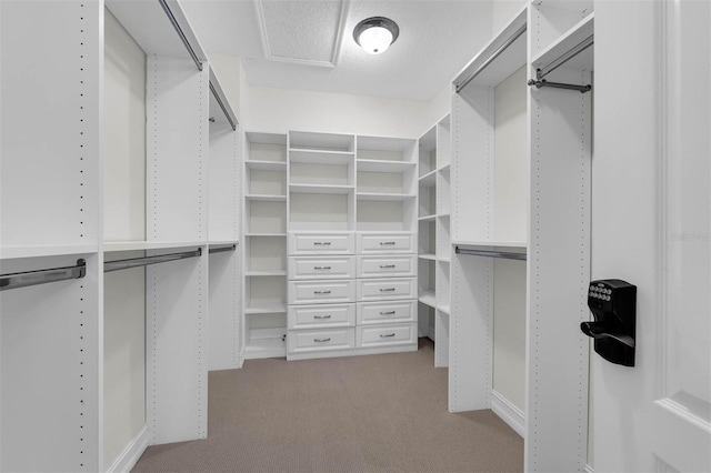 walk in closet with light colored carpet