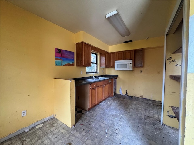 115 S Lake Pleasant Rd, Apopka, FL 32703 - kitchen featuring sink