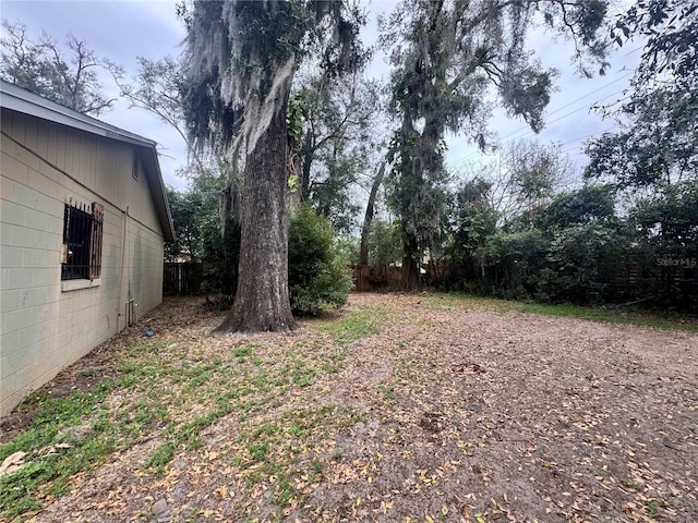 115 S Lake Pleasant Rd, Apopka, FL 32703 - view of yard